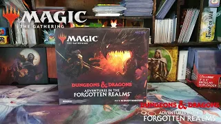 Opening A Magic: The Gathering Adventures in the Forgotten Realms Bundle