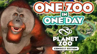 🦧 Can I Build An ENTIRE Zoo in ONE DAY? | Planet Zoo Console Edition