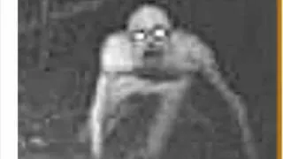 Strange Creature Caught on Trail Camera