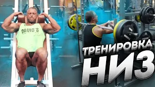 Тренировка для нижней части тела "НИЗ" Станислав Линдовер