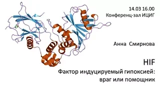 Анна Смирнова "Фактор, индуцируемый гипоксией: враг или помощник"