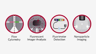 Luminex Detection Methods - Molecular Diagnostics & Life Sciences