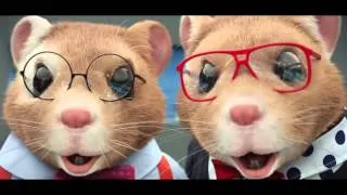 2015 Kia Soul EV Hamster Commercial