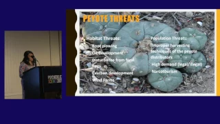 Dawn D. Davis: Conservation Strategies for Peyote Sustainability - Indigenous Approach