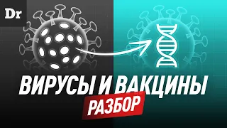 Вирусы и вакцины | РАЗБОР