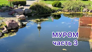 Всё прекрасное рядом❤️стоит только обратить внимание. МУРОМ. Часть 3.