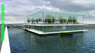 The world's first floating dairy farm will house 40 cows and be hurricane-resistant !