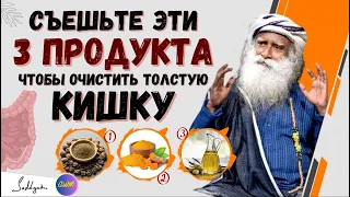 🔴Ешьте эти 3 продукта, чтобы очистить толстую кишку | Советы по здоровью | Садхгуру (ft. Sadhguru)