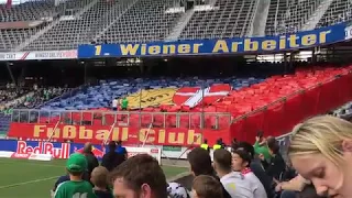 13.05.17: Rapid Wien Auswärts in Salzburg - Support & Pyro