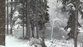 Звук (шум) падающего снега