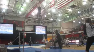 2015 IHSA girls gymnastics all-staters: Uneven bars