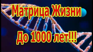 Самая Редкая и Мощная Матрица Жизнь до 1000 Лет!!!