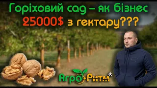 РУЙНУЄМО МІФИ:ЧИ МОЖНА ЗАРОБИТИ НА ГРЕЦЬКОМУ ГОРІХОВІ?5 РОКІВ МОЄМУ САДКУ.