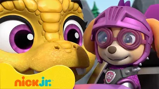 PAW Patrol | Los Caballeros al Rescate de la patrulla de cachorros salva el día | Nick Jr.