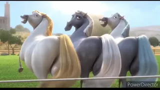 Horse butt 1