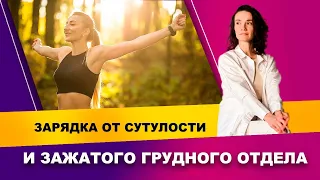 Разминка: упражнения от сутулости | Фитнес-тренер Евгения Кузнецова 12+