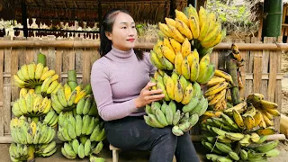 Harvesting Banana - How to preserve ripe bananas to sell at the market - Animal care | Ly Thi Tam