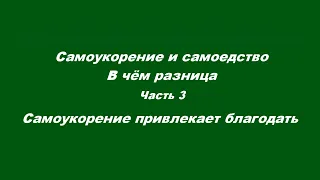 Самоукорение и самоедство. В чём разница? Часть 3 Самоукорение привлекает благодать