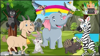 Lovely Animal Sounds: Gorilla, Elephant, Zebra, Rabbit, Goat, Porcupine : Music For Relax