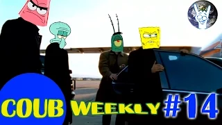 COUB Weekly #14 Лучшее за неделю ( 2015 часть 3 )