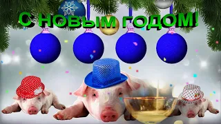 С Новым годом прикольное поздравление🎄Видео поздравление в новый год