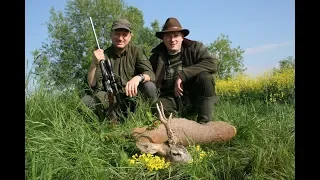 Roe deer hunting in Romania 2 ; Chasse des brocards en Roumanie 2; Rehbock Jagd in Rumänien