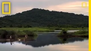 Rites of Manhood: Crocodile Scars | National Geographic