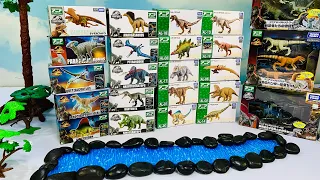 Ania River Dinosaurs Collection (Takara Tomy)