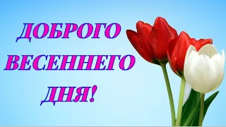 ДОБРОГО ВЕСЕННЕГО ДНЯ!