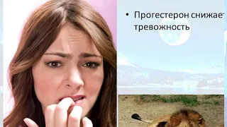 Где заканчивается любовь и начинаются гормоны? Екатерина Виноградова