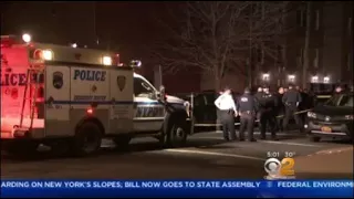 Bronx Police Shooting