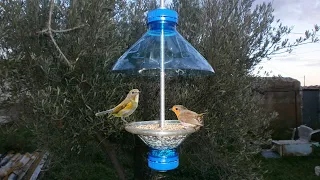 Como Hacer un Comedero para Pajaros / Comedero Aves