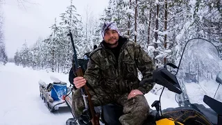 В ТАЙГУ ПЕРЕД НОВЫМ ГОДОМ |  ПО СЛЕДАМ ЛОСЯ | ШИКАРНАЯ ЛЕСНАЯ ИЗБА