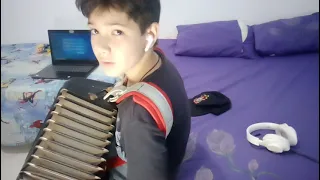 DJ ivis e Tarcísio do acordeon!! (cover)