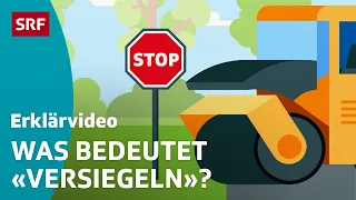 Weshalb schaden zugebaute Böden der Natur? – einfach erklärt | Kindervideos | SRF Kids