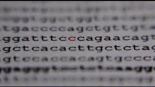 The devil genome