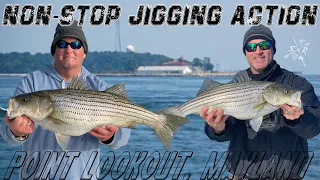 NON-STOP STRIPED BASS ACTION: Chesapeake Bay Jig Fishing, Point Lookout Maryland