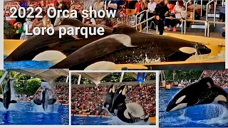 2022: Orca Show Loro Parque