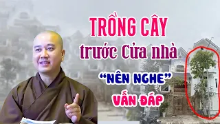 TRỒNG CÂY trước cửa nhà "NÊN NGHE" - Thầy Thích Pháp Hòa