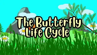 The Life Cycle of a Butterfly Explained + 5 Question Comprehension Quiz