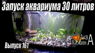 Запуск аквариума 30 литров (Аква Хижина, выпуск 161)