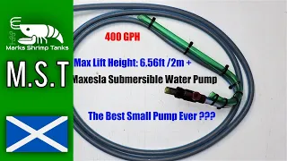 The Best Small Aquarium Pump Ever ?? - Maxesla Submersible Water Pump - Shrimp Keeping