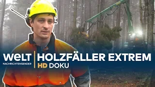 Knochenjob HOLZFÄLLER - Extremer Einsatz am Limit | HD Doku