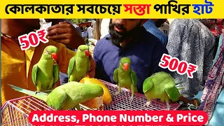 কোলকাতায় সবচেয়ে সস্তা পাখির হাট 🐦🦜||  Cheapest Birds Market in Kolkata || Birds Price in Kolkata🦜