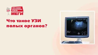 Что видно на УЗИ полых органов?