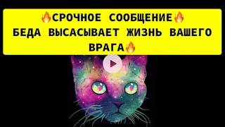 🔥СРОЧНОЕ СООБЩЕНИЕ🔥 БЕДА ВЫСАСЫВАЕТ ЖИЗНЬ ВАШЕГО ВРАГА❗️❗️❗️🔥