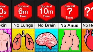 Comparison: Survival Time Without Organs