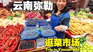 雲南最適合旅居的小城？我在彌勒逛了3天，最後說說我的感受🇨🇳丨Is it the Best City in Yunnan to live in? Explore Border City Mile 4K