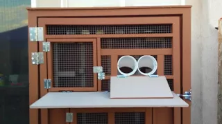 LKY Roller Pigeon Kit Box (1)