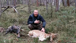 Fallow deer Hunt | March 2021